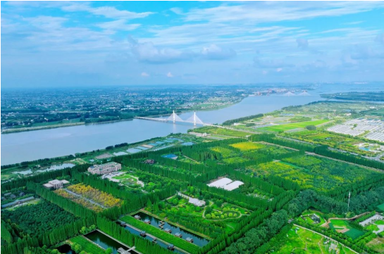 首个全国生态日，交通产业集团承建的龙游湾沿江生态景观带登上《新华日报》头版头条！